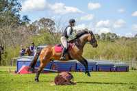 _AJG5436