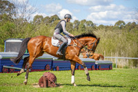 _AJG5979