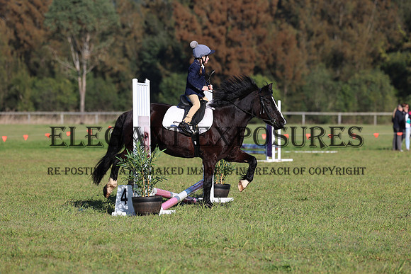 LHL_7524
