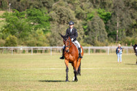 OLS_0995
