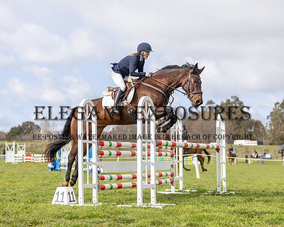 Ma4-6411