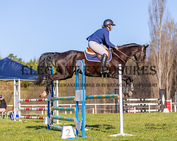 MASX8638