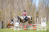 _AJG8459