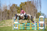 _AJG8466