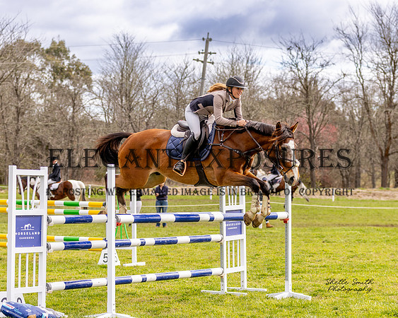 MASX8979