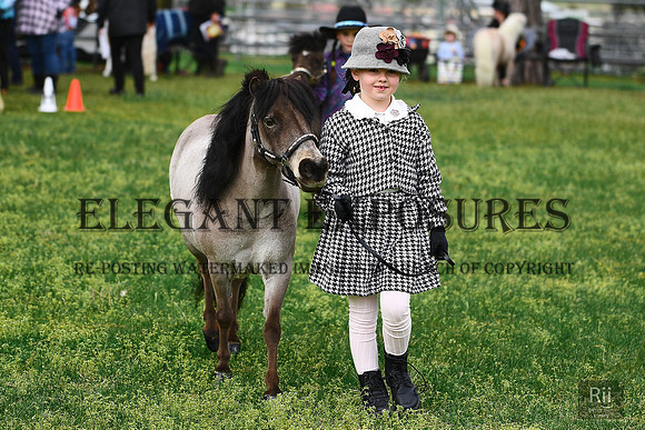 RI5_1433