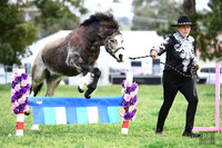 AMHS - Yass - Sunday 21.09.2025