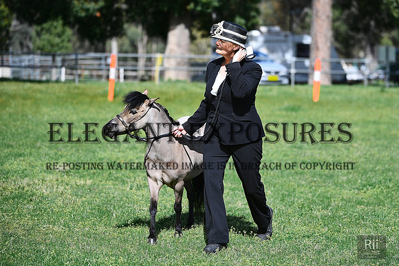 RI5_0075