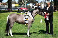 AMHS - Yass - Saturday 20.09.2025