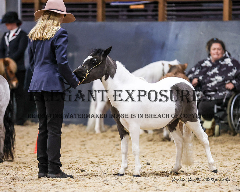 Elegant Exposures | AMHS - Winter - Classes 1-19 30.06.2024