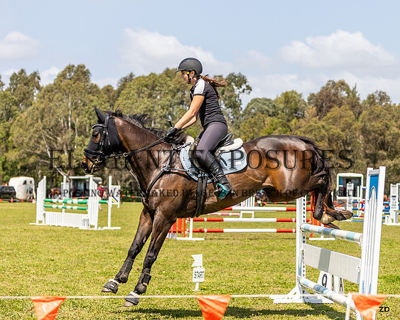 ZJD-8075