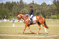 Equestriad - DR - CD14 - 9.11.2024