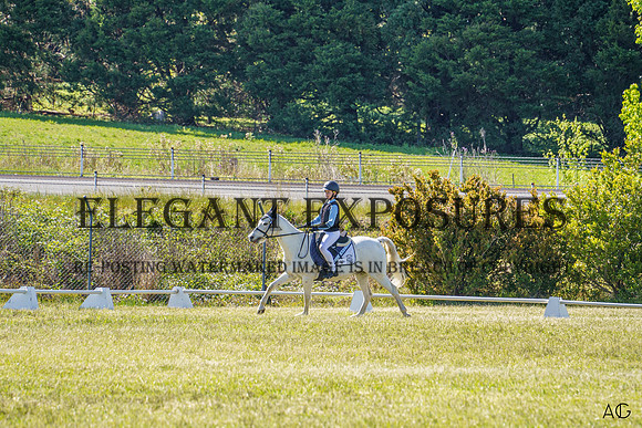 _AJG1968
