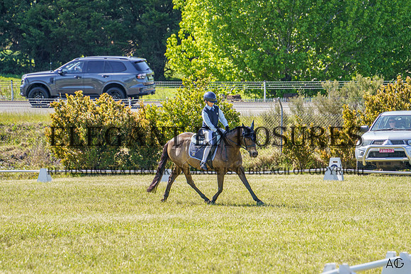 _AJG2086