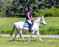 BRCIS - DRESSAGE - 04.10.2025