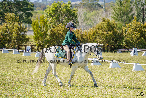 _AJG2201