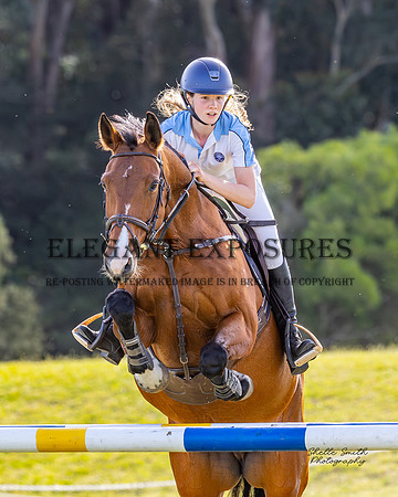 MASX1738
