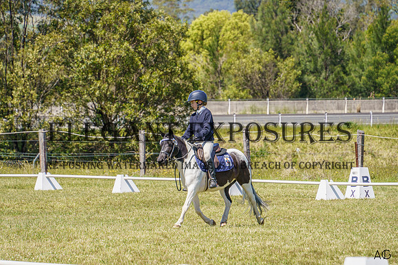 _AJG2974