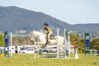 _AJG8071