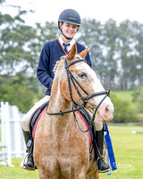 _LMW2912