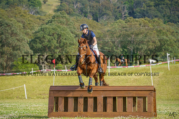 _AJG8530