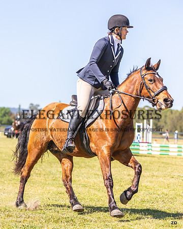 ZJD-1279
