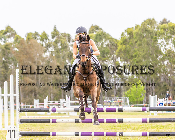 ZJD-0202