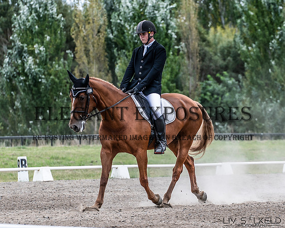 OLS_0111