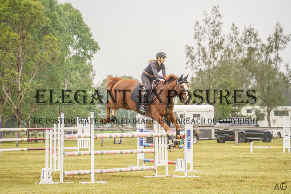 _AJG6913 (1)