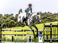 Waratah SJ - Ring 2 - 1.15m 18.12.2021