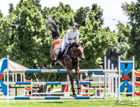 Waratah SJ - Ring 2 - 1.20m 18.12.2021