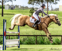 Waratah SJ - Ring 2 - 1.00m 19.12.2021