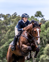 Waratah SJ - Ring 2 - 1.15m 19.12.2021