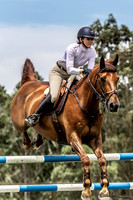 Waratah Showjumping - Sunday 19th December 2021