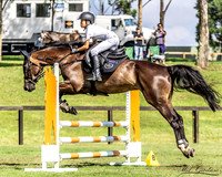 Waratah Showjumping - Sunday 16th January 2022