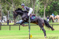 Waratah - SJ - Ring 2 - 75cm 15.01.2022