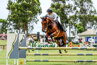 Waratah - SJ - Ring 2 - 85cm 15.01.2022
