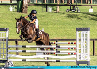 Waratah - SJ - Ring 1 1.00m 17.01.2022