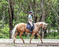 PCNSW - State Camp - Dressage - January 2022