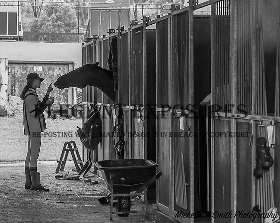 MAS_9150