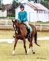 Dressage