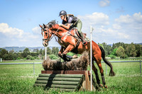 NYK - M-6461