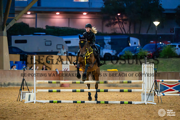 HM_9395
