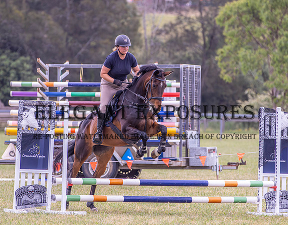 KMS-10