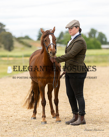 Ma4-1813