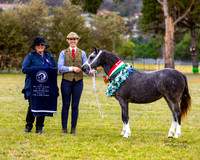 2025 NSW Pony Classic - Goulburn - 26.10.2025
