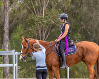 ZJD-2156