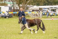 _AJG0960