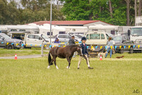 _AJG0938