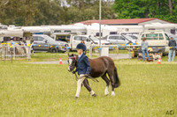 _AJG0941
